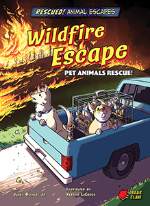 Cover Art for Wildfire Escape: Pet Animals Rescue!