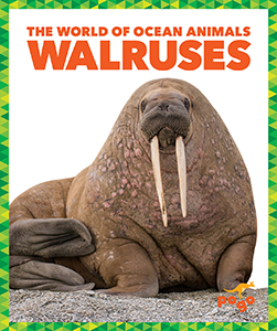 Cover Art for Walruses
