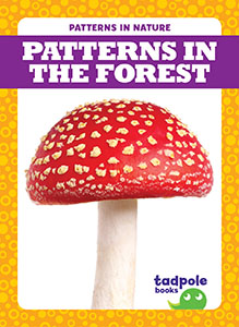 Cover Art for Patterns in the Forest