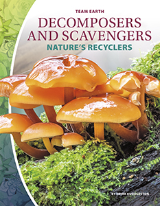 Cover Art for Decomposers: Nature's Recyclers